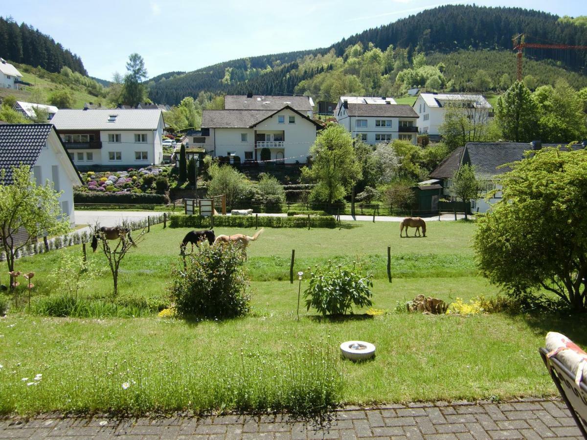Ferienwohnung Lenne シュマレンベルク エクステリア 写真